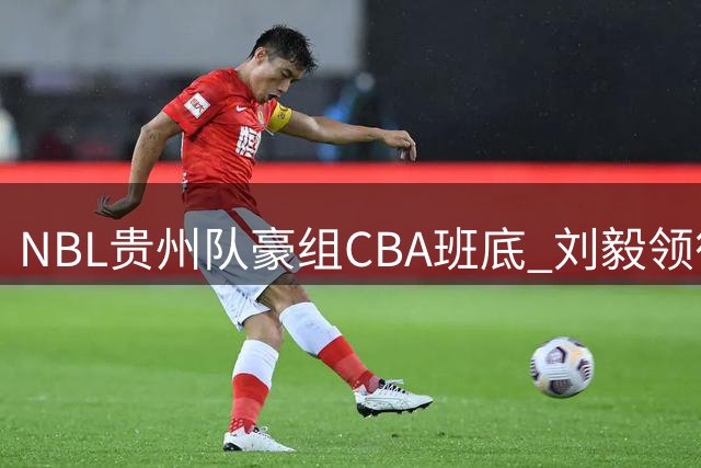 NBL贵州队豪组CBA班底 刘毅领衔三将加盟剑指顶级联赛